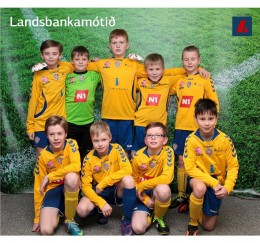 Lismyndir fr Landsbankamtinu