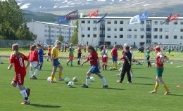 TILTEKT  SUNNUDAGINN  FLAGSSVINU