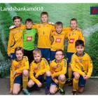 Lismyndir fr Landsbankamtinu